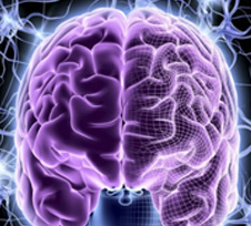 TRAINING WITH THE BRAIN IN MIND