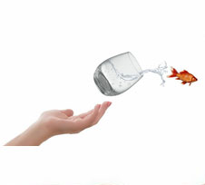 MAINTAINING SANITY IN TIMES OF CHANGE